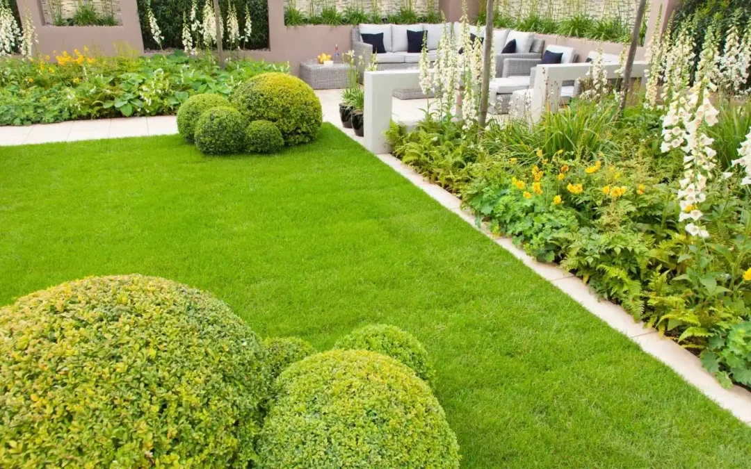 Creating Sustainable Landscapes in Kangy Angy: Our Eco-Friendly Landscaping Approach