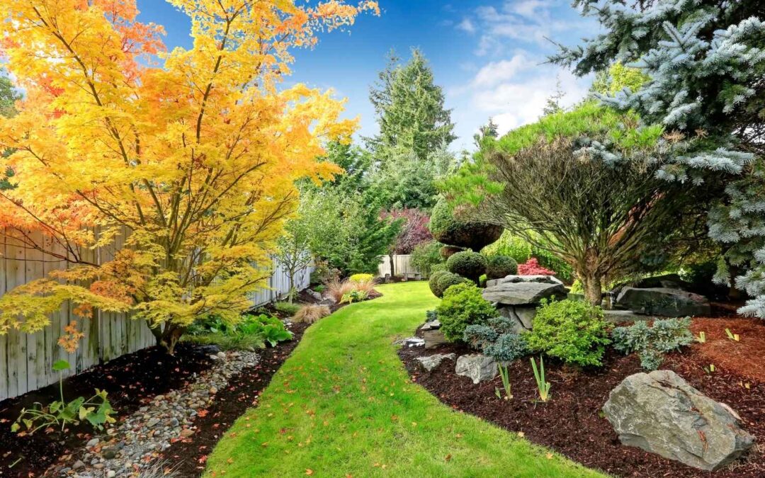 Wamberal Outdoor Transformations: The Power of Plant Design & Installation