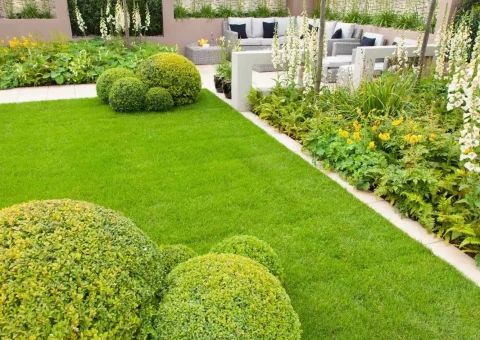 Creating Sustainable Landscapes in Kangy Angy Our Eco-Friendly Landscaping Approach - featured