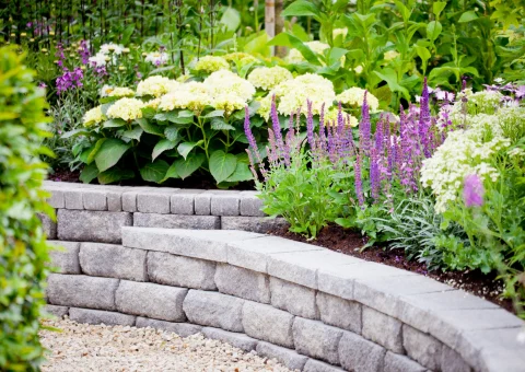 Garden Perfection in Killcare & Bouddi The Benefits of Native Plant Landscaping - featured