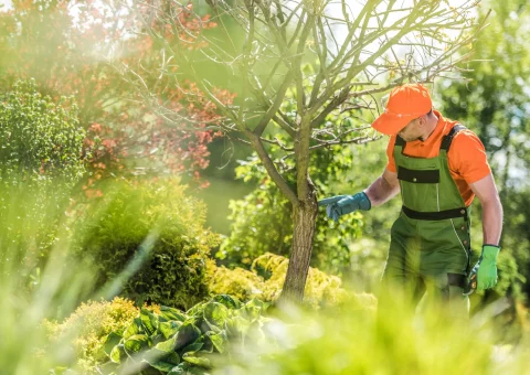 The Essential Guide to Post-Installation Landscape Assessment and Health Checks in Wamberal - image
