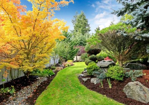 Wamberal Outdoor Transformations The Power of Plant Design & Installation - featured